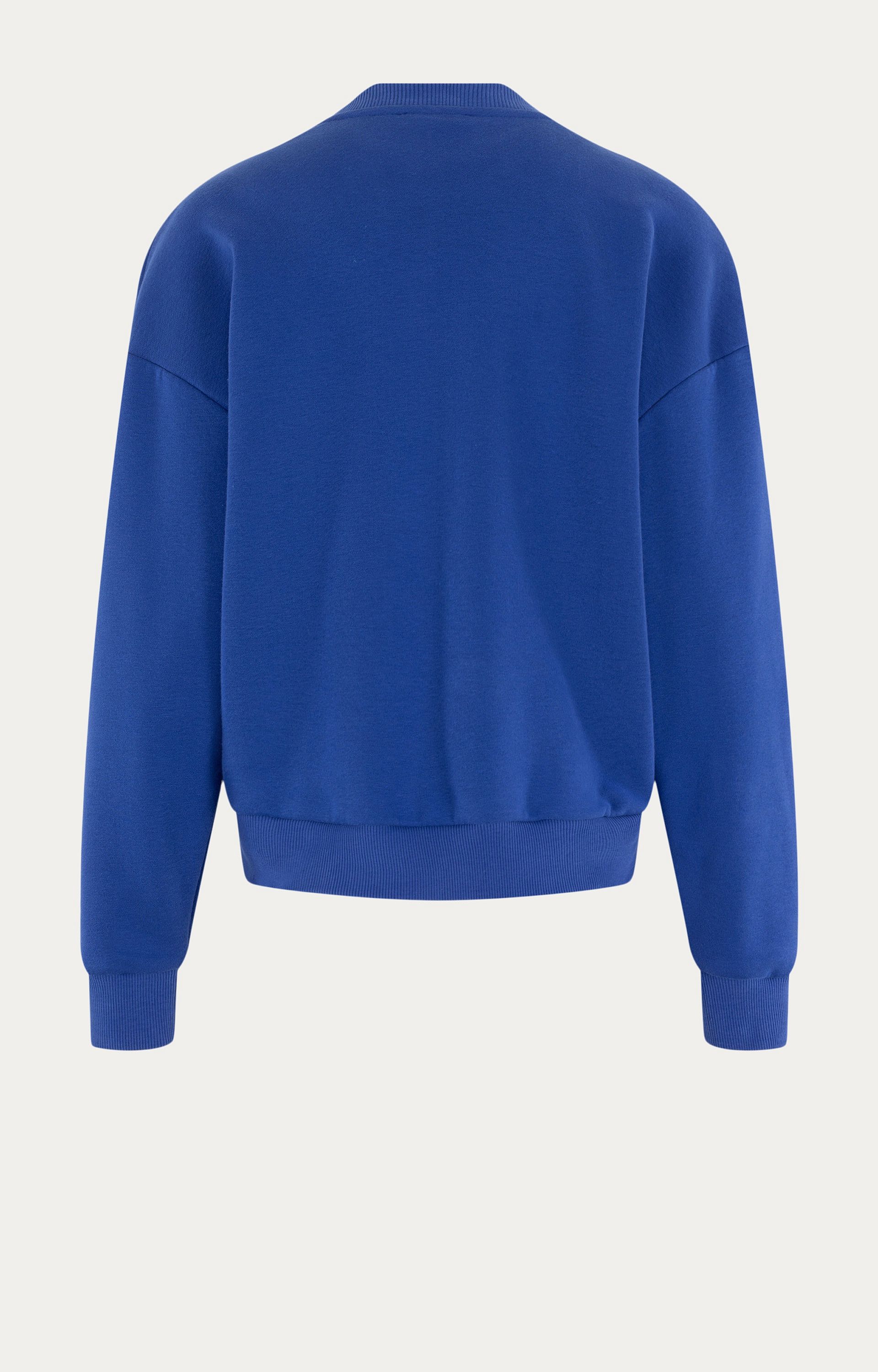 Sweater Blue Crew