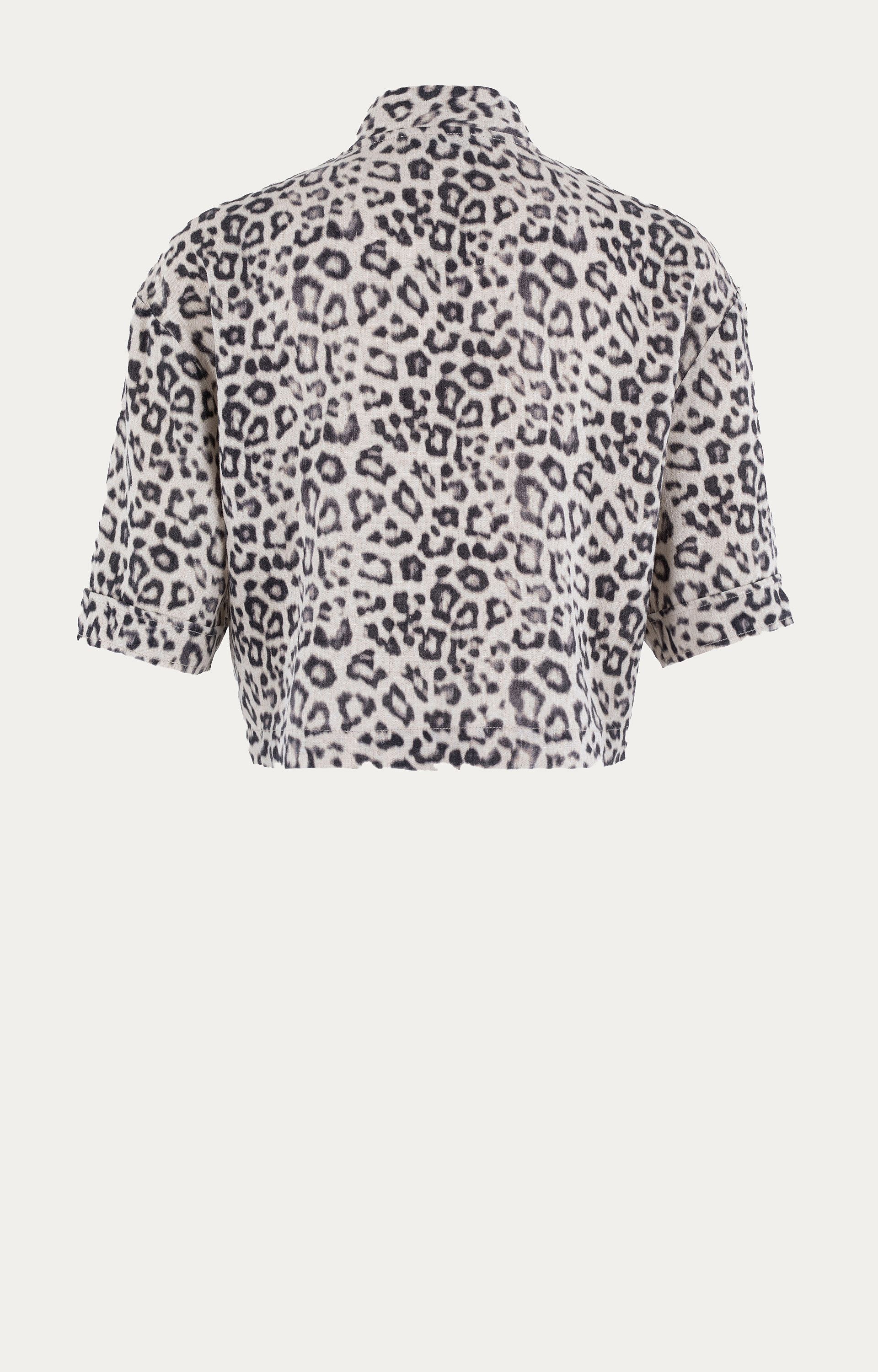 Blazer Herpanter