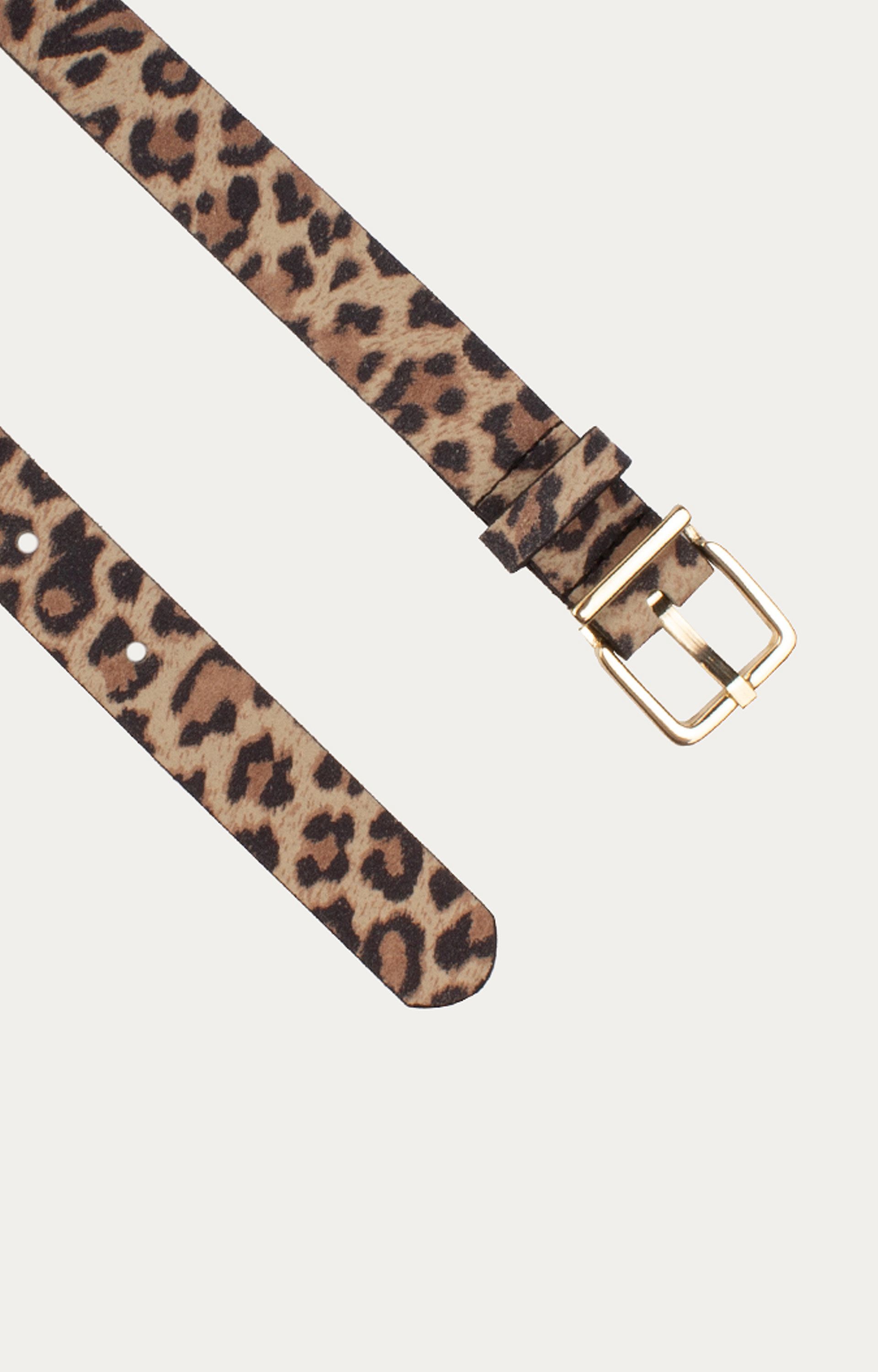 Riem Panter