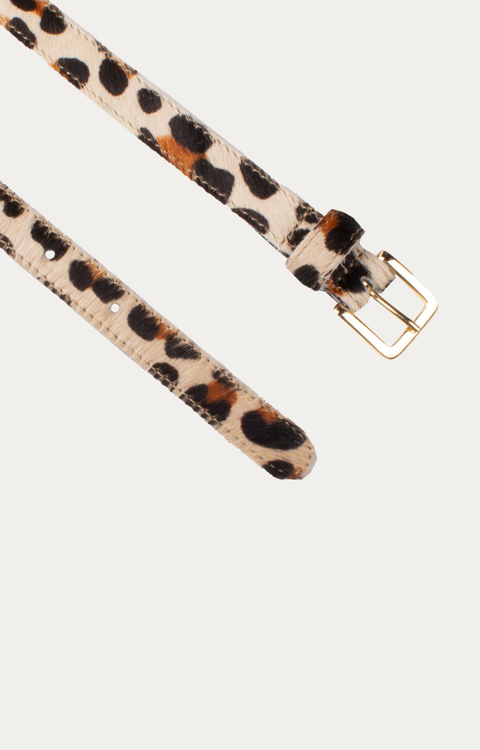 Riem Panter