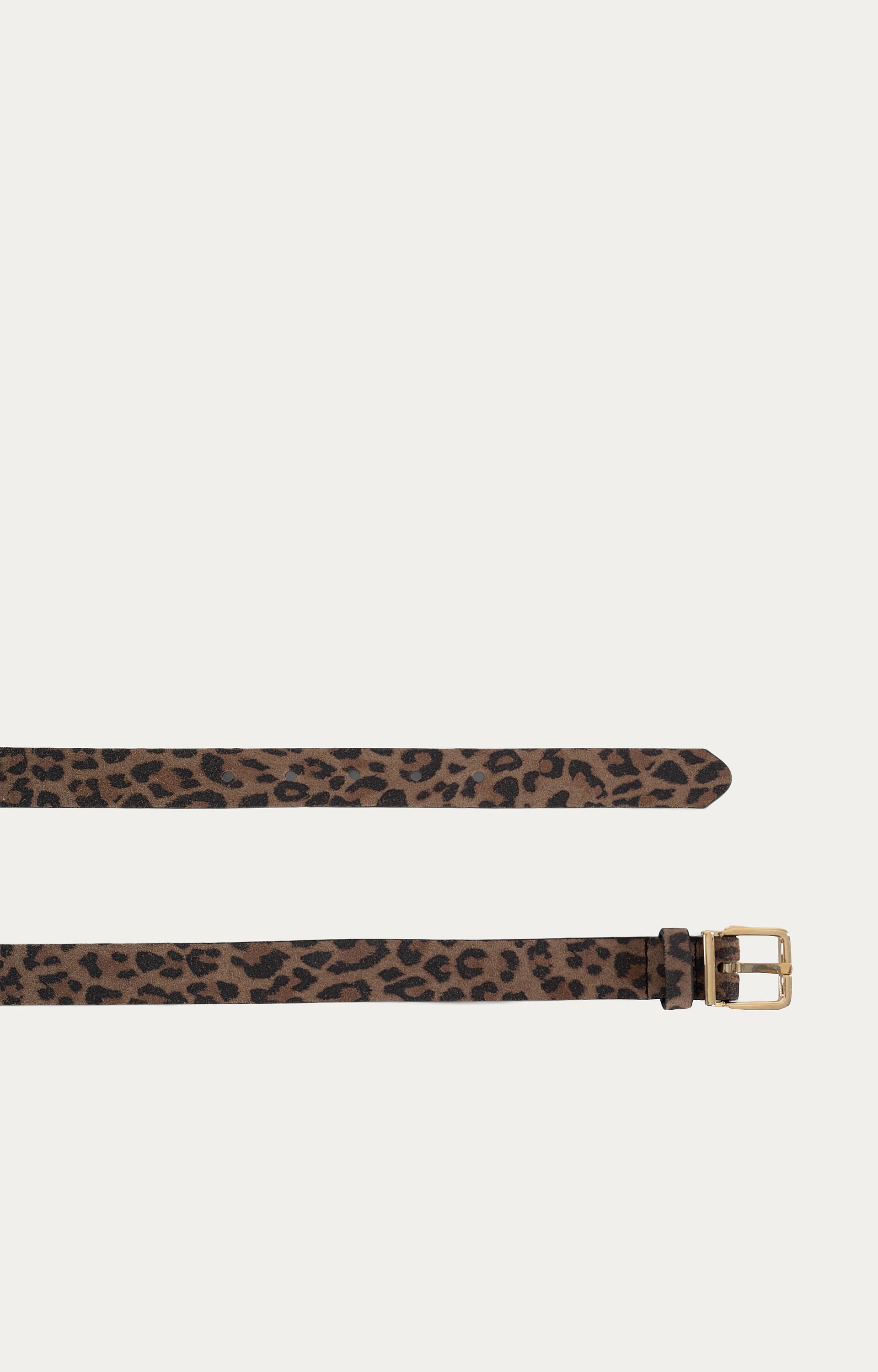 Riem Panter 