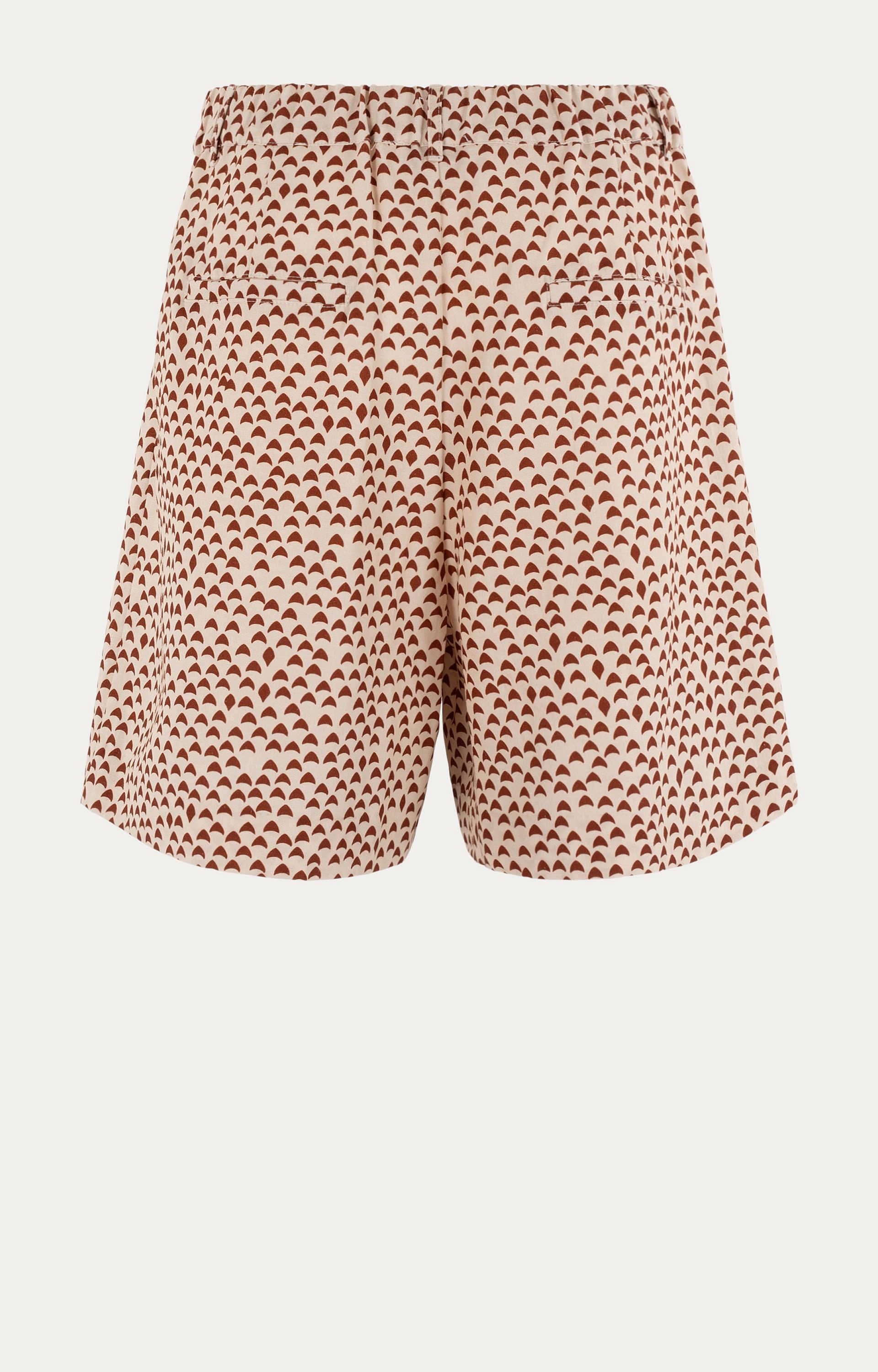 Short Nesso 