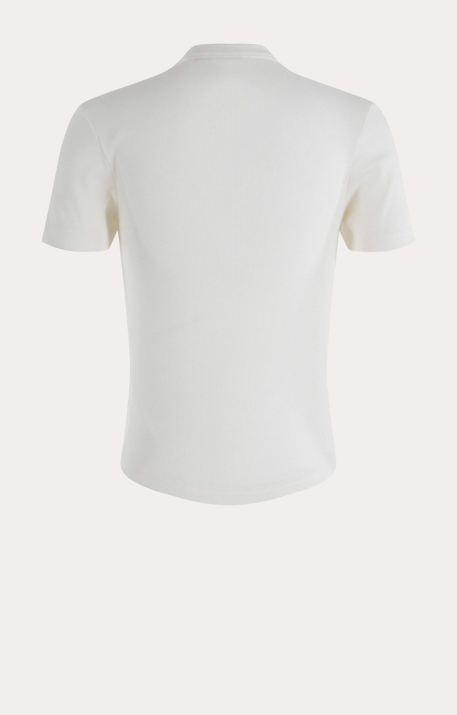 Shirt Cody